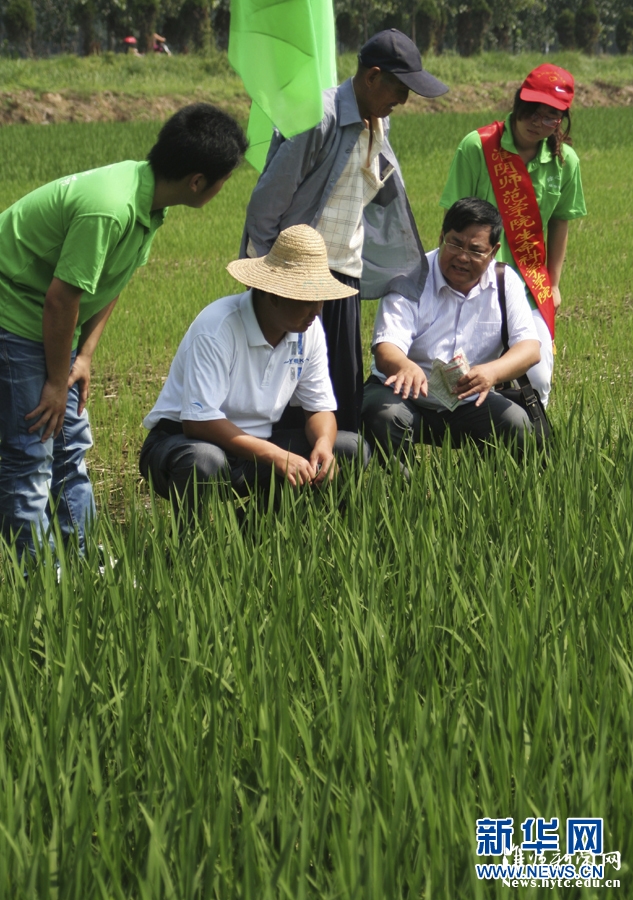 7月9日，江苏必赢71886网址登录生科院的大学生志愿者与老师一起在田间向农民讲解科学的杀虫方法。
